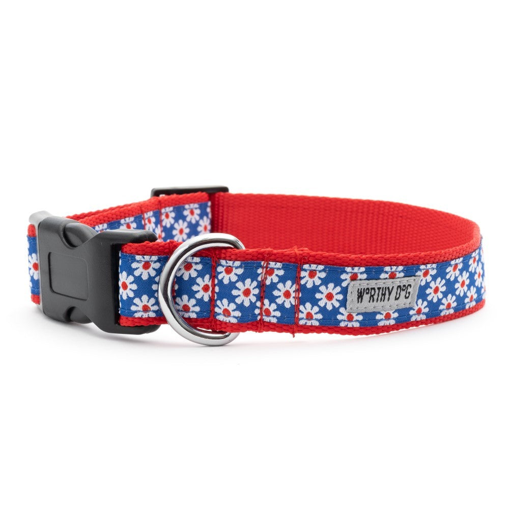 Daises Dog Collar